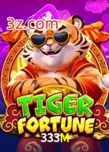 333M
