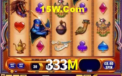 333M