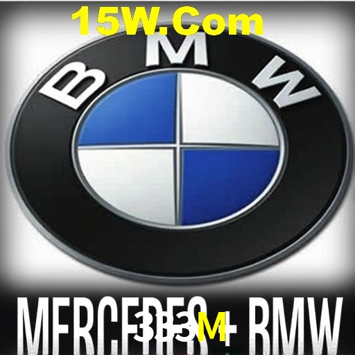 333M App Interface