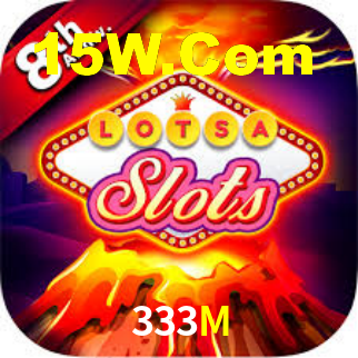 333M